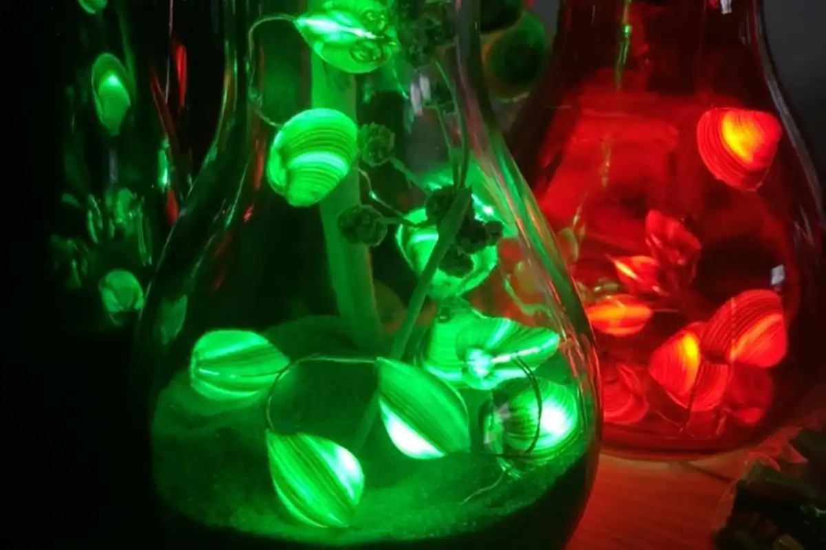 Guirlandes de lumicoques dans des ampoules